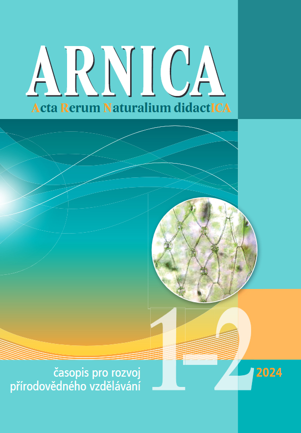 Arnica oblka 2024