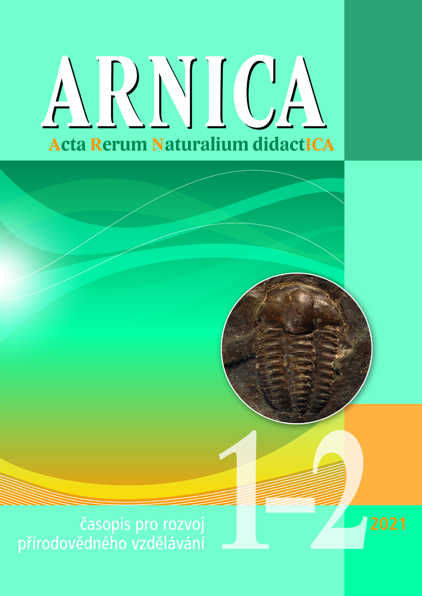 Arnica 2021 Oblka